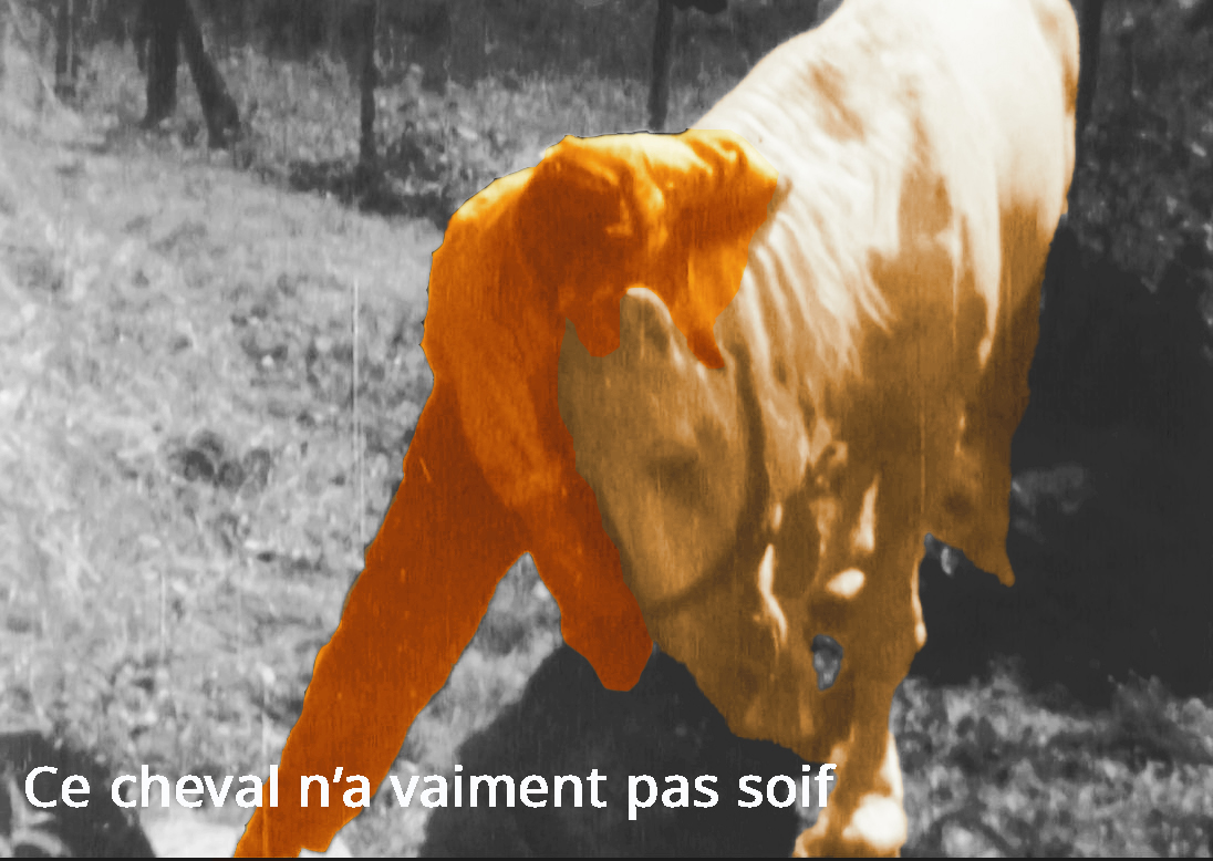 cheval soif