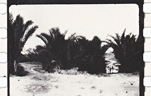 colonies 186 09