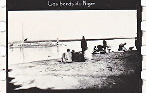 colonies 186 13