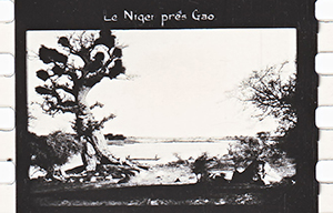 colonies 186 14