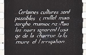 colonies 186 15