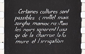 colonies 186 16