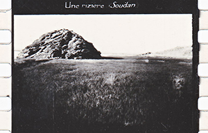 colonies 186 18