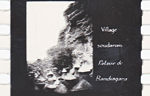 colonies 186 32