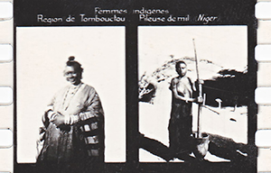 colonies 186 35