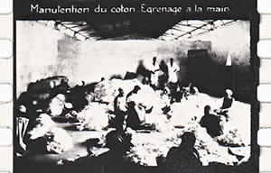 colonies 186 40
