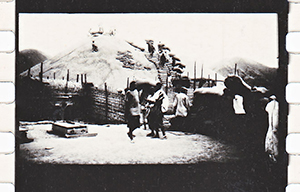 colonies 186 42