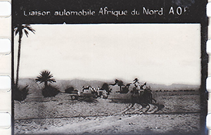 colonies 186 47