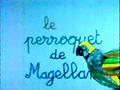 1 perroquet