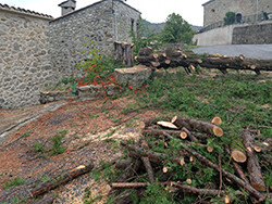 img 20210914 131647