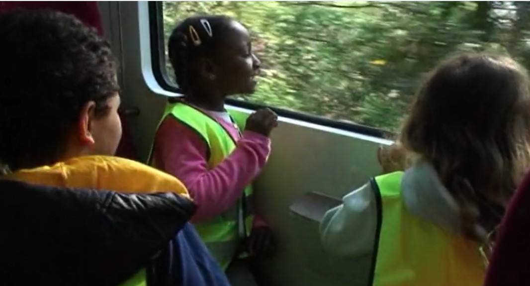 train pignes